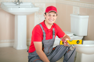 Hiring A Professional For Emergency Toilet Repair
