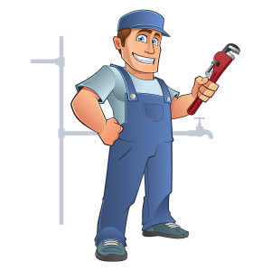 Why Emergency Plumbing Services Are Important