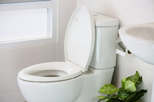 Out of Toilet Paper? Here is What You Need to Avoid